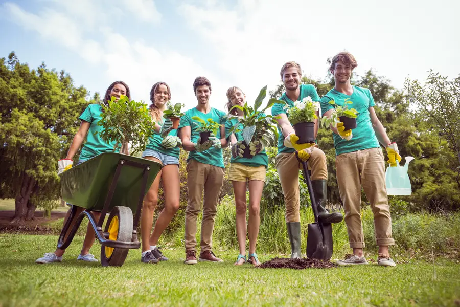 How To Properly Care For Newly Planted Trees In Your Yard Sarasota, FL How To Properly Care For Newly Planted Trees In Your Yard Sarasota, FL